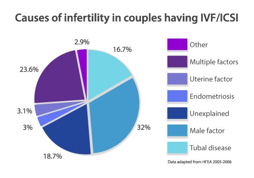 Causes of infertility in couples having IVF/ICSI